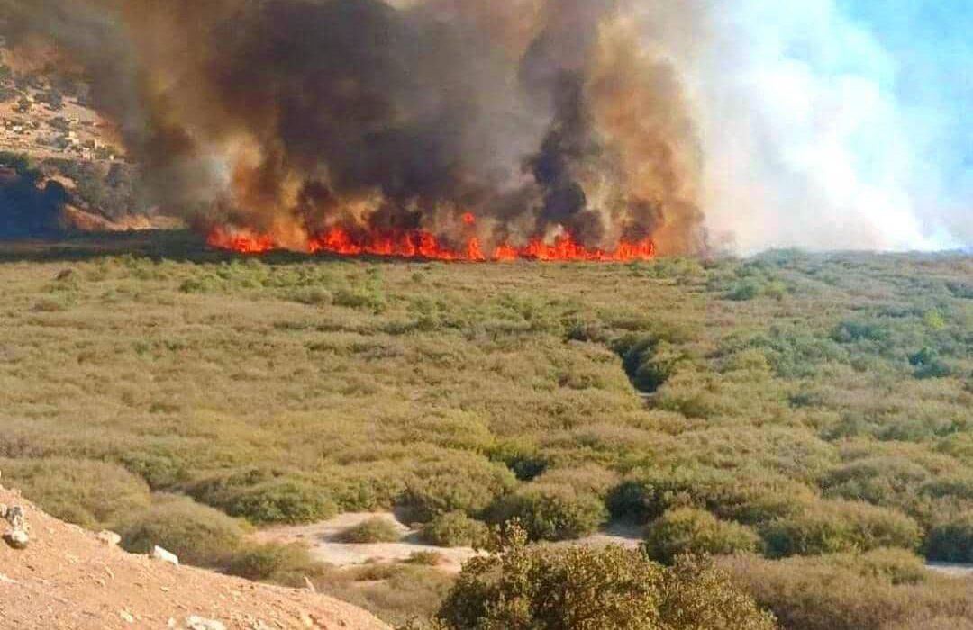  آتش به جان تالاب شیمبار اندیکا افتاد؛ تقلا برای مهار آتش‌سوزی در یک گنجینه طبیعی
