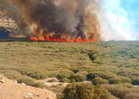  آتش به جان تالاب شیمبار اندیکا افتاد؛ تقلا برای مهار آتش‌سوزی در یک گنجینه طبیعی