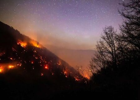 صفحهٔ درخواستی شما یافت نشد.