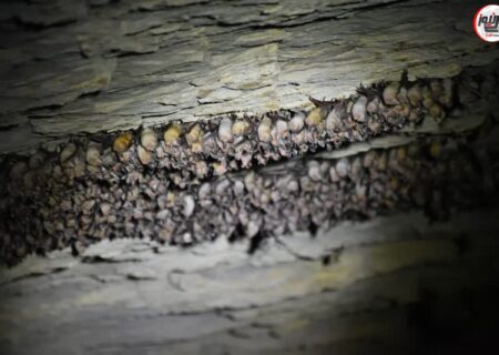 کشف غار جدید در لالی