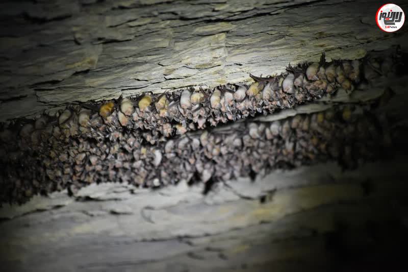 کشف غار جدید در لالی