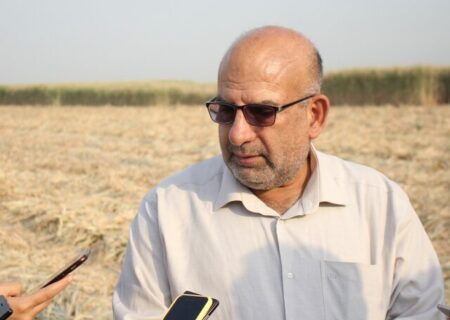 آتش‌زدن در مناطق نیشکری انجام نمی‌شود / آتش‌سوزی‌های اخیر از سوی کشاورزان همسایه است