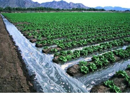 آزاد سازی میلیاردی اراضی کشاورزی در ری