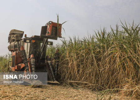 آغاز مطالعات توسعه زنجیره ارزش باگاس نیشکر در خوزستان