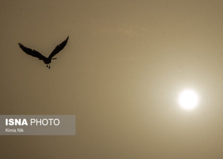 افزایش غلظت آلاینده‌ها در هوای تهران/ از تردد غیرضروری خودداری کنید