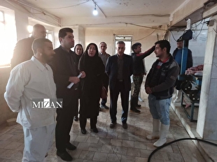 بازدید دادستان ازنا از کشتارگاه دام و صدور دستورات لازم برای ارتقای فرآیندهای بهداشتی و صنعتی