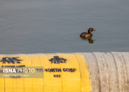 تا مشکلات زیست‌محیطی نفت رفع نشود، مجوز جدید توسعه در غرب کارون صادر نمی‌شود
