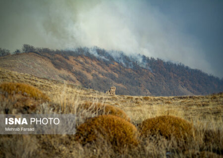 تحقیقات برای روشن شدن علت آتش‌سوزی جنگل‌های الیت ادامه دارد/ پرتاب آب با هواپیمای ایلوشن اثرگذاری لازم را ندارد