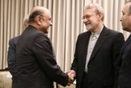 تصاویر خاص از دیدار لاریجانی با رئیس‌جمهور پاکستان + عکس
