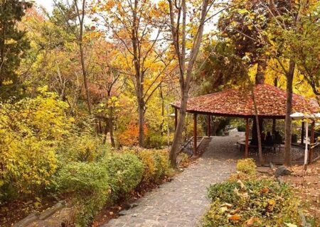 تماشای پاییز در پارک‌های تهران/ از لویزان تا پردیسان؛ معرفی ۵ بوستان جذاب برای تهرانگردی آخرهفته