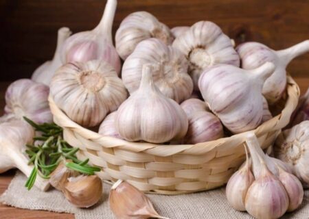 خوردن سیر خام ناشتا باعث لاغری می‌شود؟