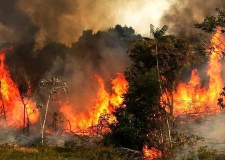 دستور رئیس سازمان بازرسی به بازرس کل استان مازندران در پی وقوع آتش‌سوزی در بخش‌هایی از جنگل‌های هیرکانی