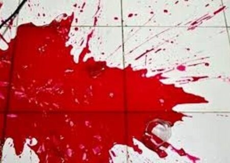 دستگیری دو برادر قاتل در تهران