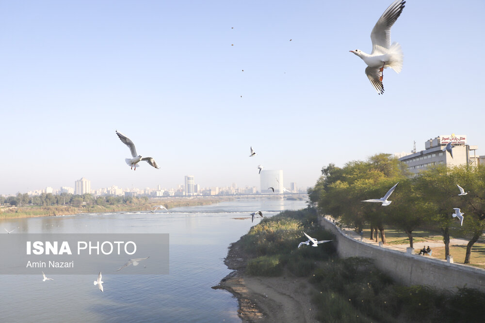 دمای خوزستان کاهش می‌یابد – ایسنا