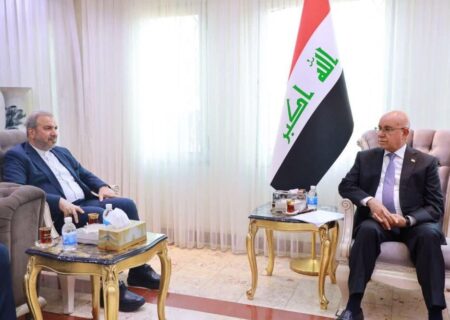 رایزنی سفیر ایران و وزیر بهداشت عراق درباره تداوم همکاری‌ها