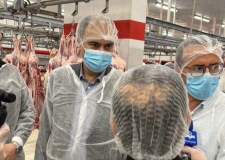 روند تولید و بسته بندی انواع گوشت و فرآورده‌های پروتئینی بررسی شد/ پیگیری تخصیص ارز برای واردات گوشت