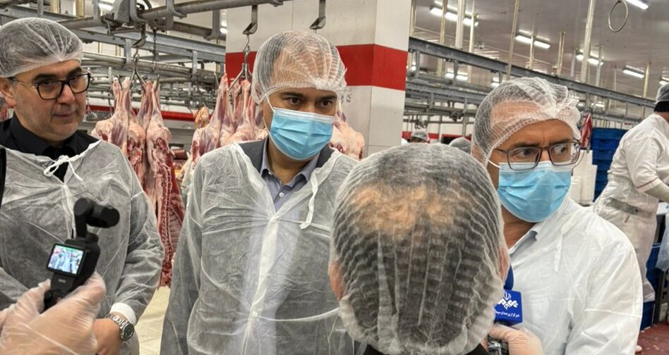 روند تولید و بسته بندی انواع گوشت و فرآورده‌های پروتئینی بررسی شد/ پیگیری تخصیص ارز برای واردات گوشت