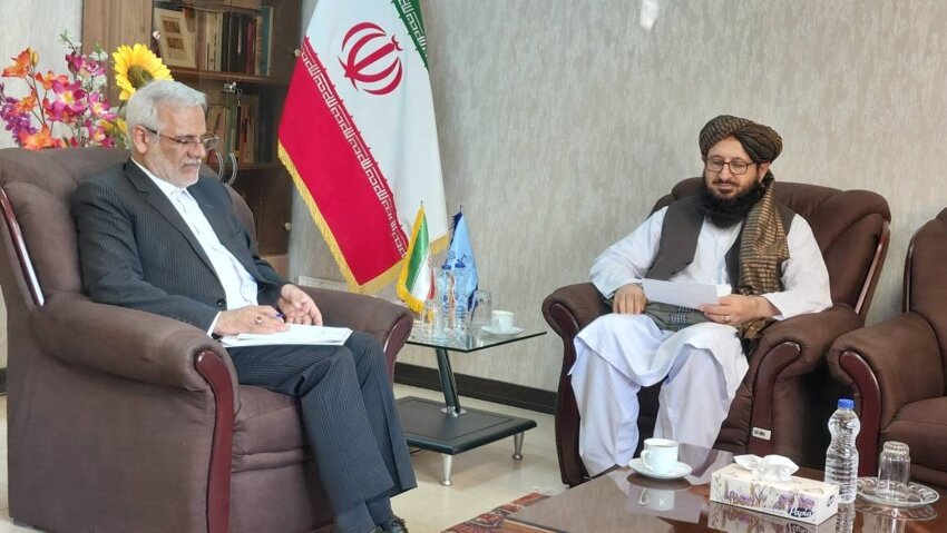 شرایط انتقال ۳۸۰ نفر از محکومین افغانستانی به کشورشان مهیا شده است