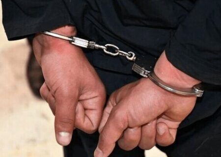 عامل آتش‌سوزی جنگل های هیرکانی دستگیر شد