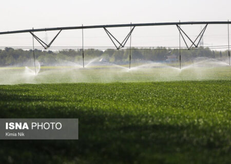 عضو کمیسیون کشاورزی مجلس: تنها ۲۴ درصد اراضی کشاورزی لرستان آبی است