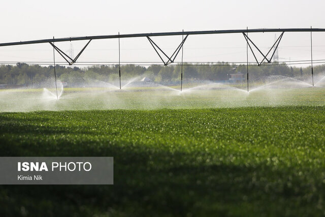 عضو کمیسیون کشاورزی مجلس: تنها ۲۴ درصد اراضی کشاورزی لرستان آبی است