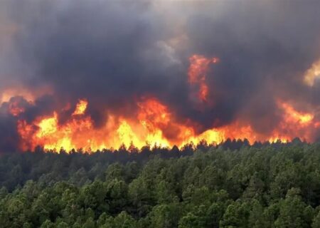 فروکش آتش‌سوزی در ارتفاعات چالوس با آغاز بارش‌ها 