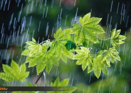 فعالیت سامانه بارشی در کشور از شنبه و بارش باران در اغلب استانها