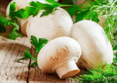 فواید شگفت انگیز قارچ برای قلب