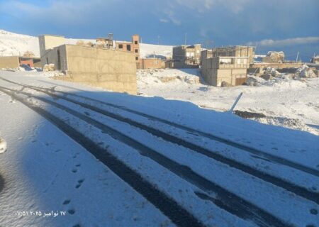 لیقوان سفید پوش شد/ عکس