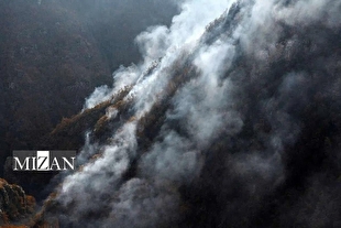 مسئولانی که در مهار آتش‌سوزی جنگل‌های هیرکانی الیت قصور کنند، طبق قانون مجازات می‌شوند/ لزوم استفاده مسئولین از تمام ظرفیت‌های موجود برای مهار آتش 