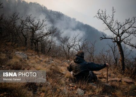  معاون سازمان حفاظت محیط زیست از کنترل نسبی آتش‌سوزی در جنگل‌های حفاظت‌شده «الیت» خبر داد