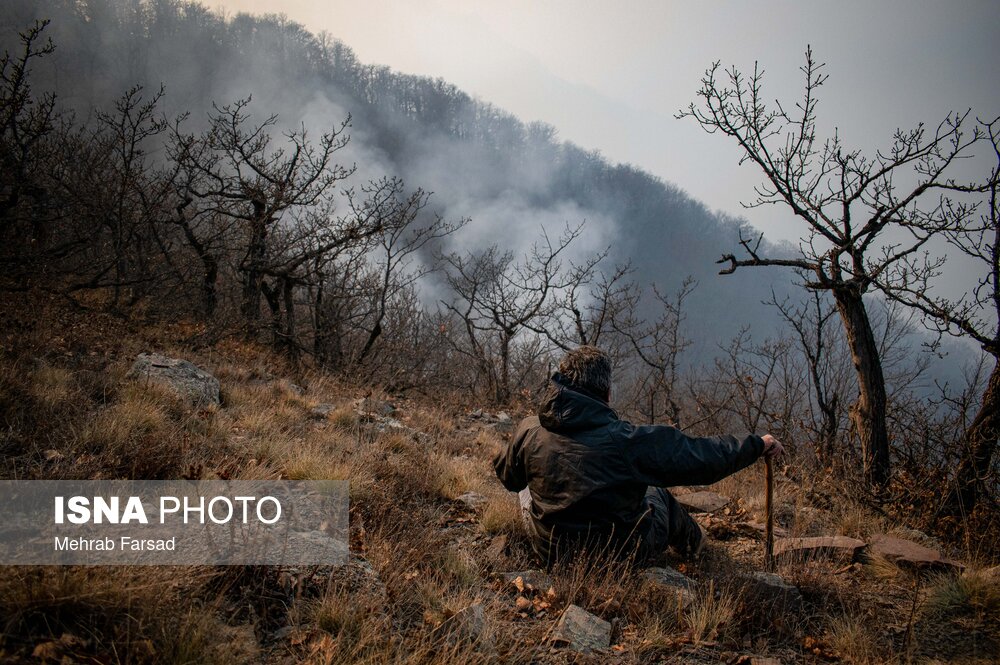  معاون سازمان حفاظت محیط زیست از کنترل نسبی آتش‌سوزی در جنگل‌های حفاظت‌شده «الیت» خبر داد