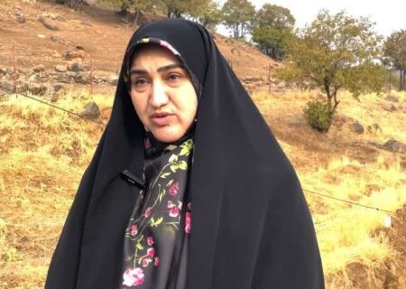 نایب‌رئیس کمیسیون کشاورزی مجلس: شاهرگ حیاتی ایران از زاگرس عبور می‌کند