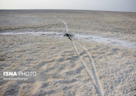 نیمی از تالاب شادگان خشک شده است