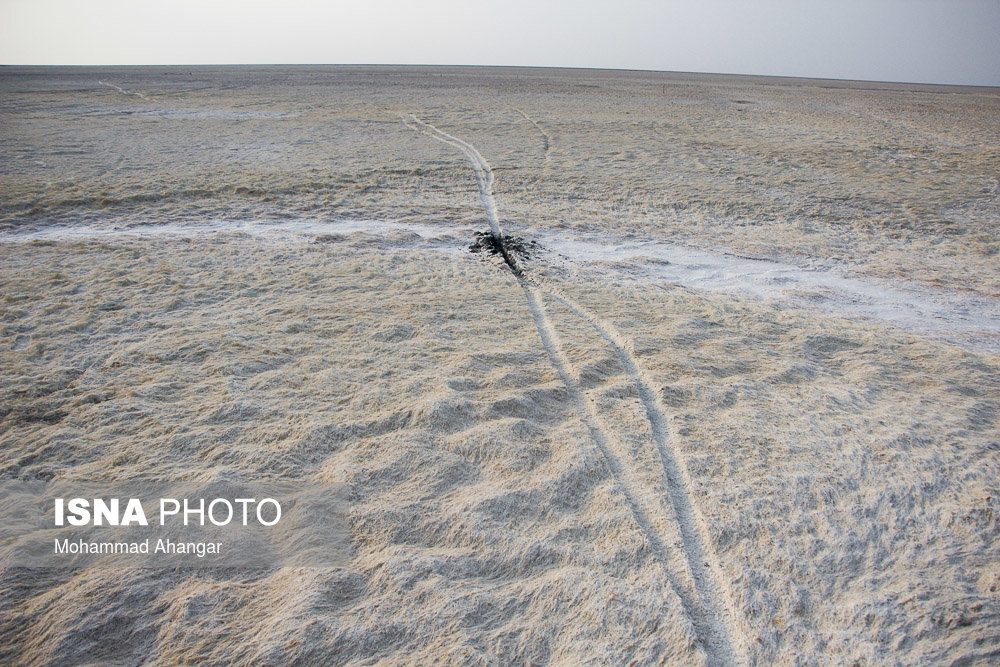نیمی از تالاب شادگان خشک شده است