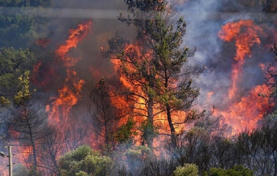 هشدار دادستان گلستان: هیچ بی‌احتیاطی در جنگل هیرکانی بدون مجازات نمی‌ماند