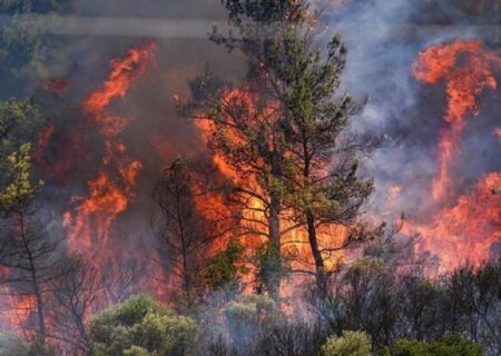 هشدار دادستان گلستان: هیچ بی‌احتیاطی در جنگل هیرکانی بدون مجازات نمی‌ماند