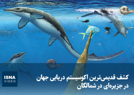 ویدئو/ کشف قدیمی‌ترین اکوسیستم دریایی جهان در جزیره‌ای در شمالگان