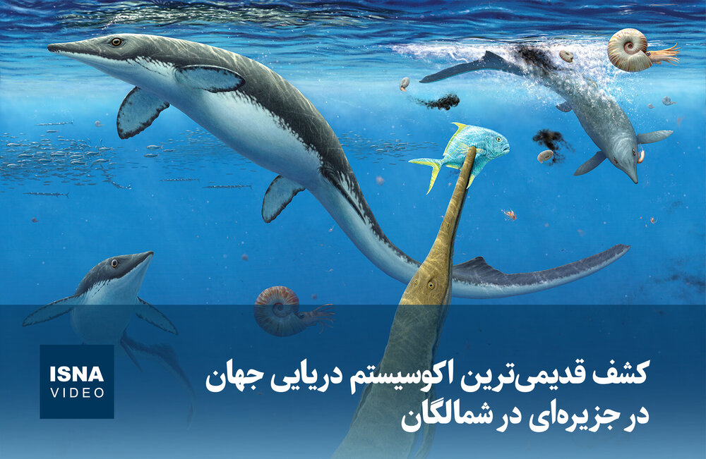 ویدئو/ کشف قدیمی‌ترین اکوسیستم دریایی جهان در جزیره‌ای در شمالگان