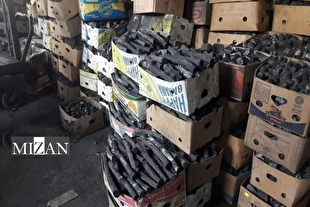 کشف کارگاه غیرمجاز تولید زغال در شهرستان گتوند