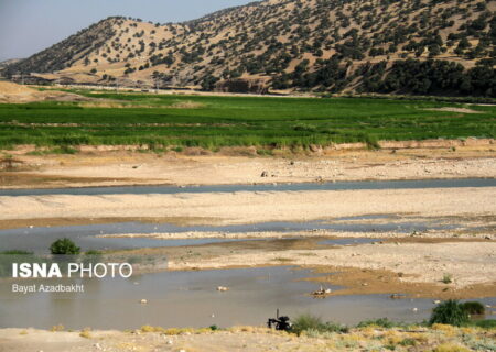 کشکانِ عطشان – ایسنا