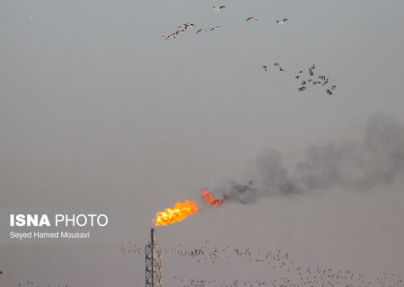 یک فلر در خوزستان خاموش شود، ۱۰ فلر دیگر روشن می‌شود/ تصویب اجرای سه طرح انتقال آب در خشکی پایین‌دست کارون