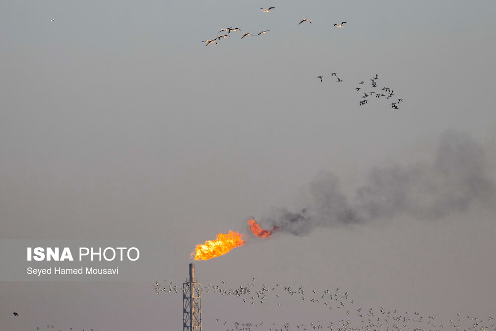 یک فلر در خوزستان خاموش شود، ۱۰ فلر دیگر روشن میشود/ تصویب اجرای سه طرح انتقال آب در خشکی پاییندست کارون
