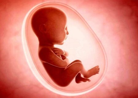 ۸۰ درصد شاکیان سقط جنین مردها هستند/ مواردی که قاضی اجازه سقط جنین قانونی نمی‌دهد