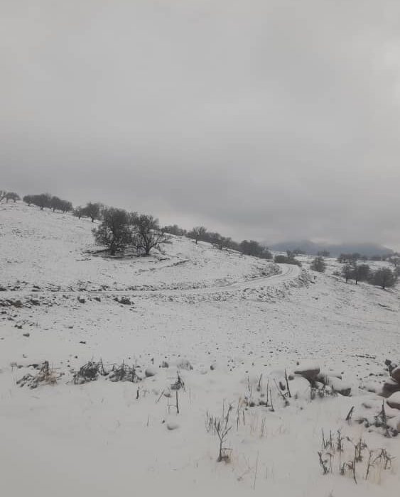 چهار سال در چادر زیر باران و برف؛ وعده‌های مسئولان به روستای زلزله‌زده سرشط اندیکا کی عملی می‌شود؟