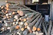 با قاچاق چوب و تخریب منابع طبیعی بدون اغماض برخورد می‌شود