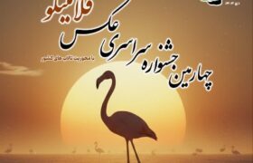 فلامینگوها در قاب هنر/ پوستر جشنواره‌ای برای حفاظت از میانکاله رونمایی شد