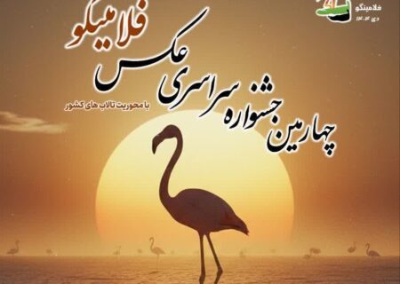فلامینگوها در قاب هنر/ پوستر جشنواره‌ای برای حفاظت از میانکاله رونمایی شد
