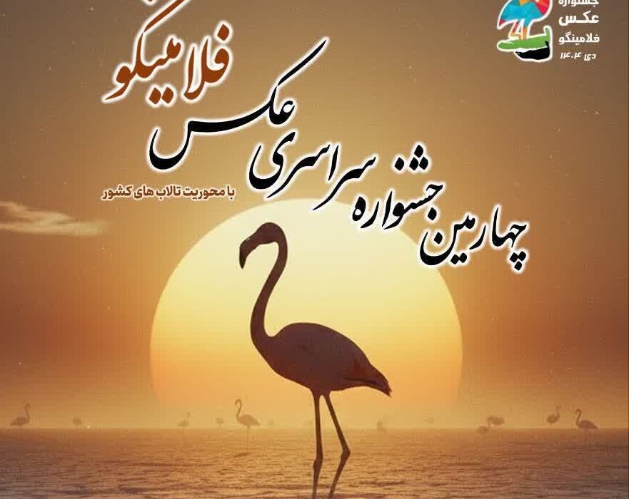 فلامینگوها در قاب هنر/ پوستر جشنواره‌ای برای حفاظت از میانکاله رونمایی شد