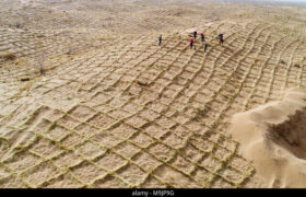 «فیزیکِ فولاد» به نجاتِ «بیابان» می‌آید؛ فرمول فراموش‌ شده‌ای که می‌تواند بدون آب و برق، گلویِ کانون‌های ریزگرد خوزستان را بفشارد